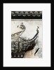 Tiled roof in Xidi, China by Anonymous