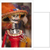 Elegant Day of the Dead skeleton, Oaxaca, Mexico by Anonymous
