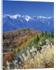 Mountain range and autumn foliage, Hakuma Miyama, Nagano Prefecture, Japan by Anonymous