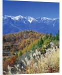 Mountain range and autumn foliage, Hakuma Miyama, Nagano Prefecture, Japan by Anonymous