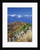 Mountain range and autumn foliage, Hakuma Miyama, Nagano Prefecture, Japan by Anonymous