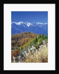 Mountain range and autumn foliage, Hakuma Miyama, Nagano Prefecture, Japan by Anonymous