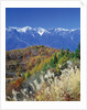 Mountain range and autumn foliage, Hakuma Miyama, Nagano Prefecture, Japan by Anonymous