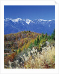 Mountain range and autumn foliage, Hakuma Miyama, Nagano Prefecture, Japan by Anonymous
