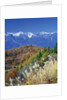Mountain range and autumn foliage, Hakuma Miyama, Nagano Prefecture, Japan by Anonymous