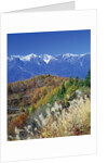 Mountain range and autumn foliage, Hakuma Miyama, Nagano Prefecture, Japan by Anonymous