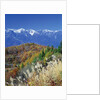 Mountain range and autumn foliage, Hakuma Miyama, Nagano Prefecture, Japan by Anonymous