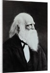 William Cullen Bryant by Anonymous