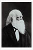 William Cullen Bryant by Anonymous