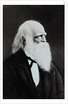 William Cullen Bryant by Anonymous