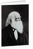 William Cullen Bryant by Anonymous