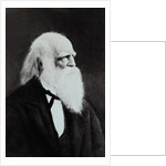 William Cullen Bryant by Anonymous