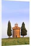 Chapel and cypress trees by Anonymous