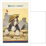 The bulldog spirit by Anonymous