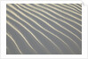 Sand in White Sands National Monument by Anonymous