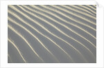 Sand in White Sands National Monument by Anonymous