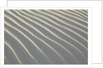 Sand in White Sands National Monument by Anonymous