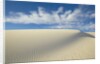 Dune in White Sands National Monument by Anonymous