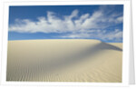 Dune in White Sands National Monument by Anonymous