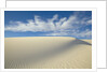 Dune in White Sands National Monument by Anonymous