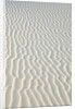 Sand in White Sands National Monument by Anonymous