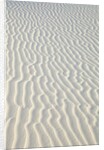 Sand in White Sands National Monument by Anonymous
