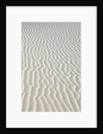 Sand in White Sands National Monument by Anonymous