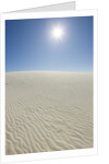 Sun in White Sands National Monument by Anonymous