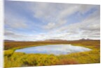 Pond and tundra in Yukon Territory by Anonymous