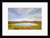 Pond and tundra in Yukon Territory by Anonymous