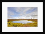Pond and tundra in Yukon Territory by Anonymous