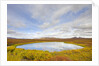 Pond and tundra in Yukon Territory by Anonymous