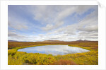 Pond and tundra in Yukon Territory by Anonymous