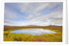 Pond and tundra in Yukon Territory by Anonymous