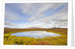 Pond and tundra in Yukon Territory by Anonymous