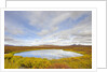 Pond and tundra in Yukon Territory by Anonymous