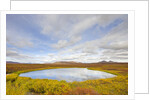 Pond and tundra in Yukon Territory by Anonymous