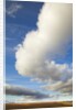 Cumulus clouds above tundra in Yukon Territory by Anonymous