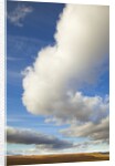 Cumulus clouds above tundra in Yukon Territory by Anonymous