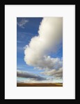 Cumulus clouds above tundra in Yukon Territory by Anonymous