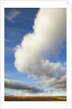 Cumulus clouds above tundra in Yukon Territory by Anonymous
