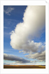Cumulus clouds above tundra in Yukon Territory by Anonymous