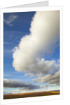 Cumulus clouds above tundra in Yukon Territory by Anonymous