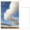 Cumulus clouds above tundra in Yukon Territory by Anonymous
