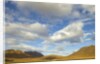 Cumulus clouds above tundra and mountains in Denali National Park by Anonymous