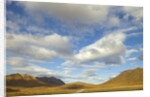 Cumulus clouds above tundra and mountains in Denali National Park by Anonymous