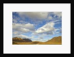 Cumulus clouds above tundra and mountains in Denali National Park by Anonymous