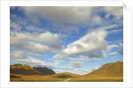 Cumulus clouds above tundra and mountains in Denali National Park by Anonymous