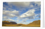 Cumulus clouds above tundra and mountains in Denali National Park by Anonymous