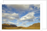 Cumulus clouds above tundra and mountains in Denali National Park by Anonymous